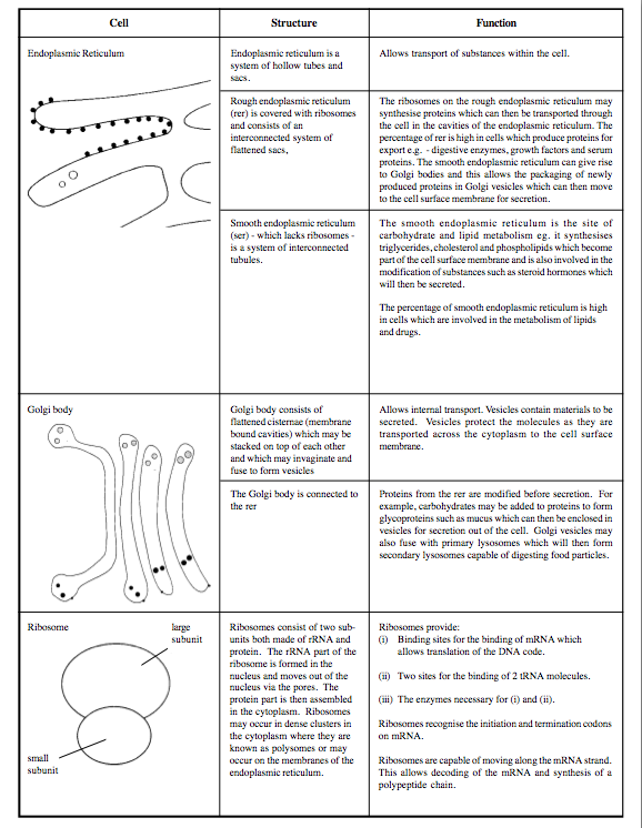 Cell Structure And Function Chart